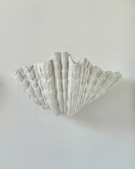 Paar XL Vintage Schelpen Gips Wandlampen, Frankrijk 1940, Toegeschreven aan Serge Roche – Ceramic (photo 5 of 5)
