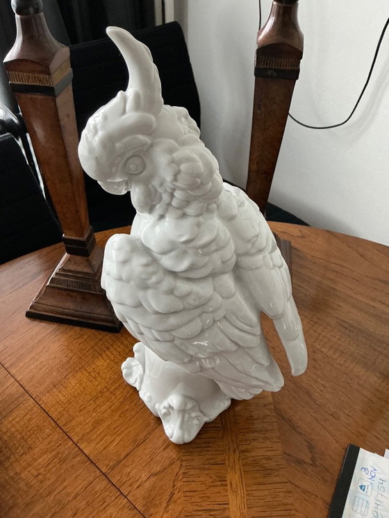 Image 1 of Weißer Kakadu