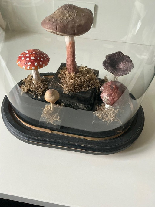 Antique bell jar with vintage educational mushrooms