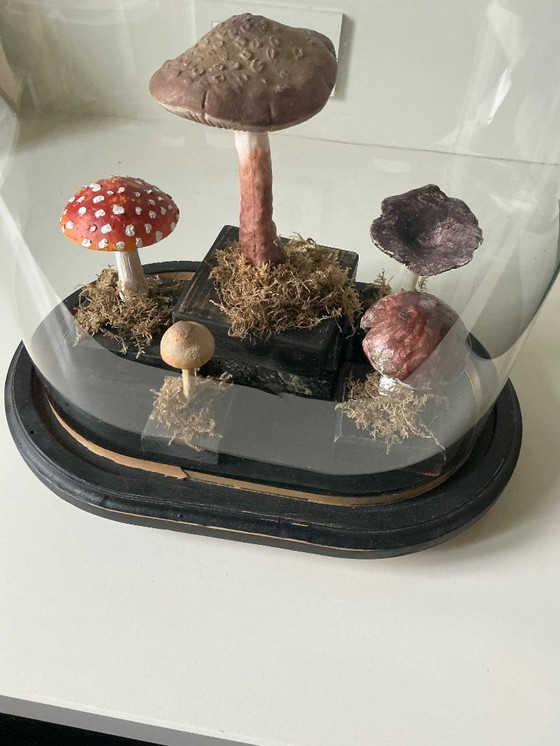 Image 1 of Antique bell jar with vintage educational mushrooms