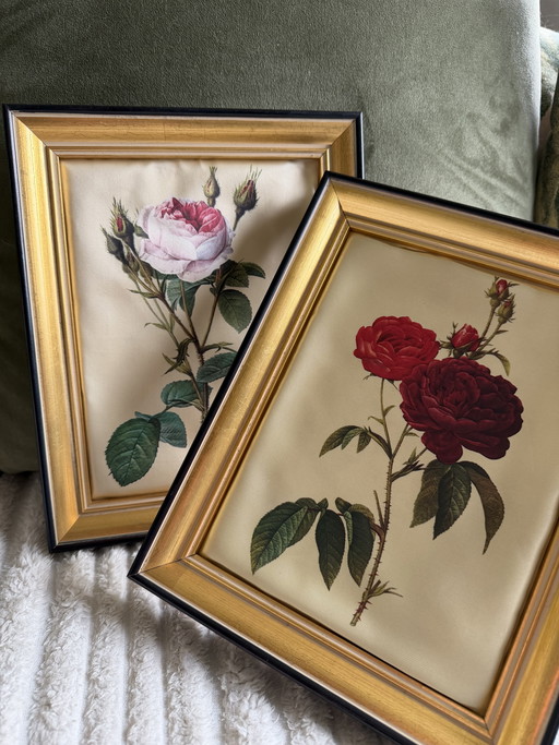 Peintures sur soie encadrées Style Redouté 25x20
