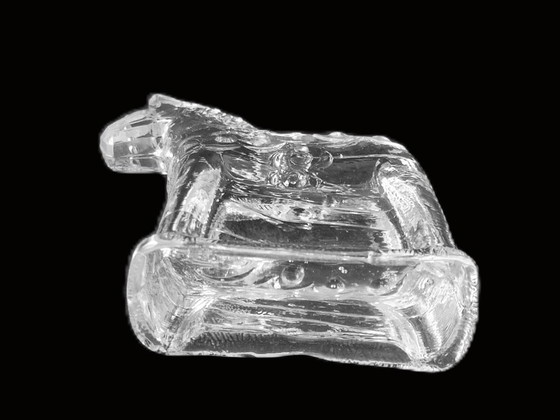 Image 1 of Lindshammar Sweden - Swedish horse by Christer Sjögren