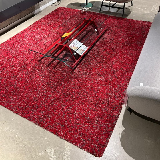 Image 1 of Millenerpoort Licasa vloerkleed - 235x300