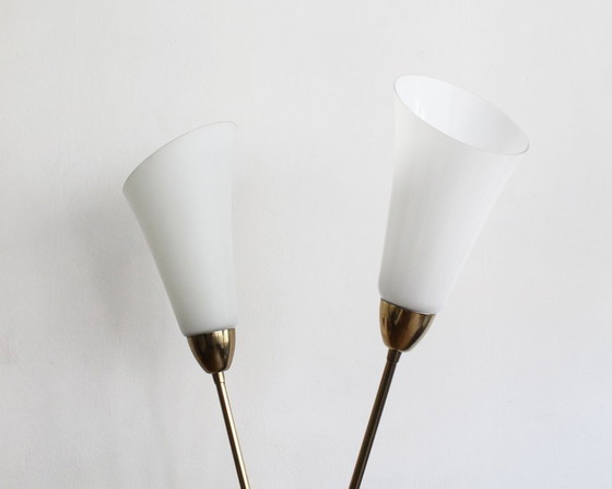 Image 1 of Organic Mid-Century Modern Floor Lamp in Brass and Milk Glass, Czechoslovakia