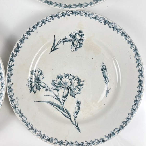 Image 1 of Set of 6 "Carnation" pattern dinner plates, KG Lunéville, ironstone, 19th century