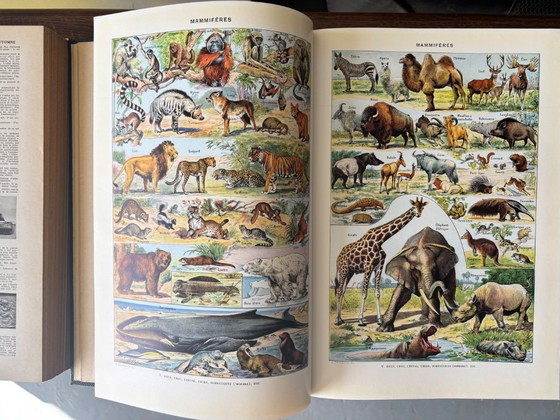 Image 1 of Antique wooden book press