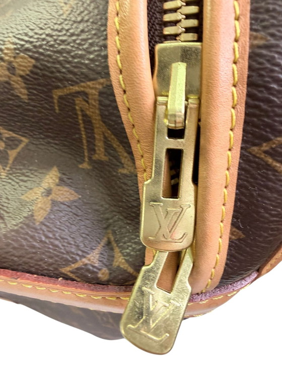 Image 1 of Louis Vuitton reistas met hondenmotief