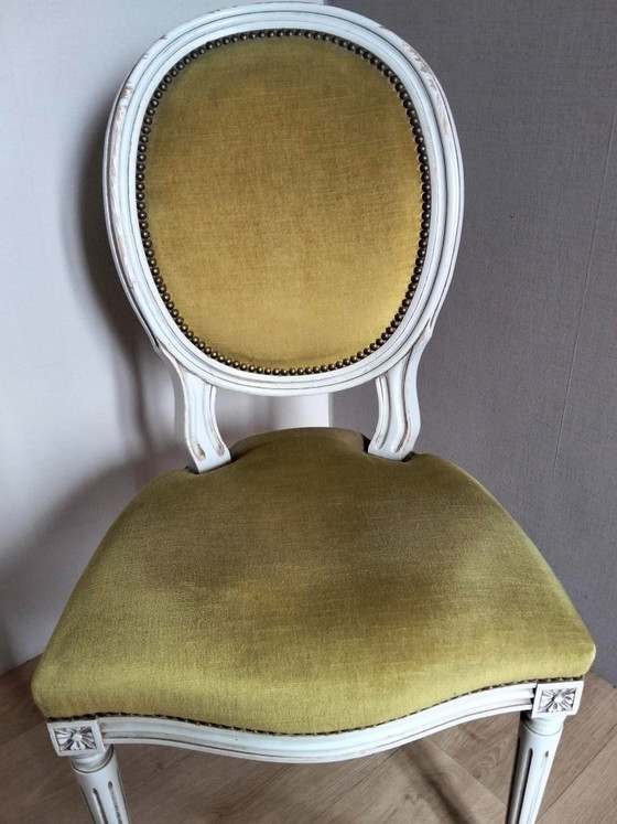 Juego de 6 sillas estilo Luis XVI, Sillas de comedor, Terciopelo, Madera, Verde (foto 7 de 8)