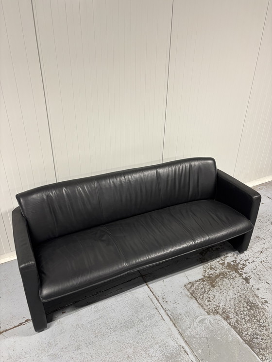 3-Sitzer Leolux Sofa – 3-5 Sitzer Sofas, Leather (photo 6 of 6)