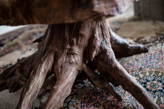 Mesa de centro única hecha de un tronco de árbol macizo. – handgemaakt, Mesas de centro, Wood (photo 7 of 7)