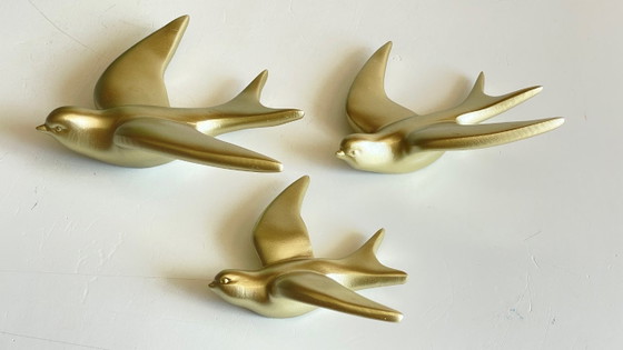 Image 1 of Hirondelles dorées