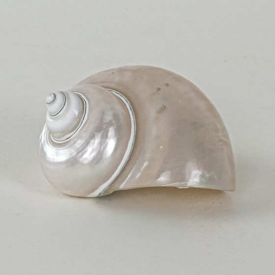 Image 1 of Concha de nácar, diseño italiano, años 70, fabricada en Italia.