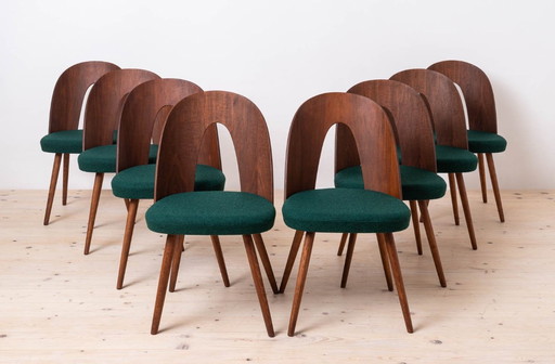 Set of 10 Mid Century Dining Chairs by A. Šuman, 1960s, Customizable Upholstery Available