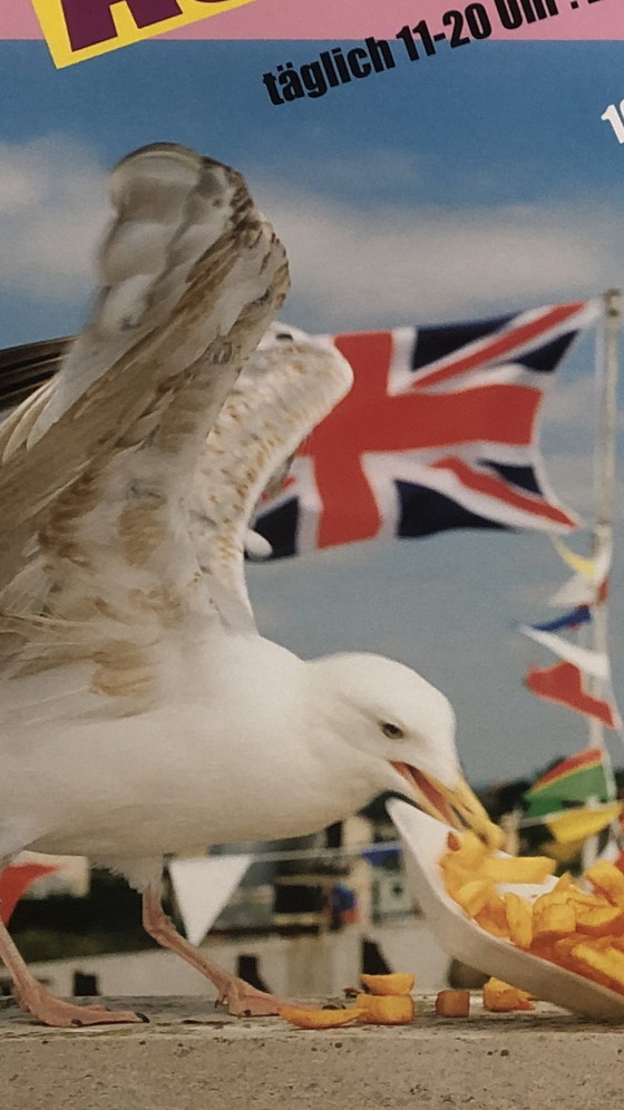 Image 1 of Origineel Martin Parr Ausstellungsplakat. C/O Berlijn 2008. Neuwertiger Zustand. 60 x 42cm / 16.5 in x 23.4 in