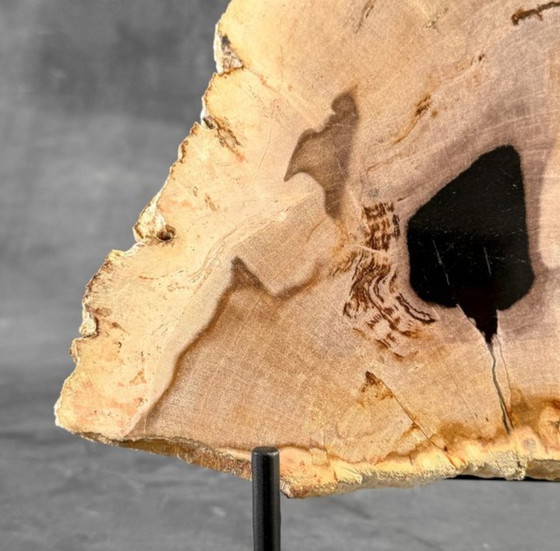 Image 1 of Magnifique pièce de bois pétrifié sur un support sur mesure BS-9