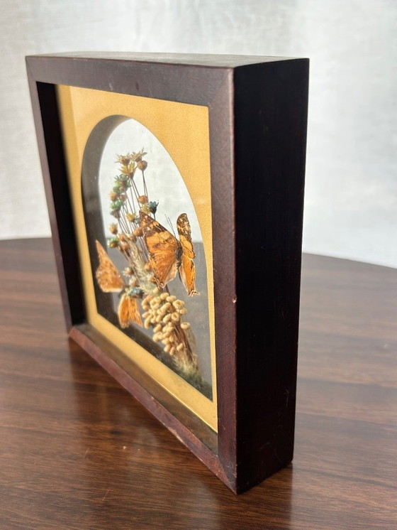 Image 1 of cornice a farfalla