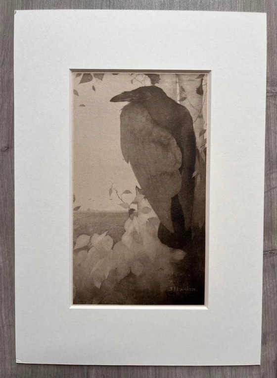 Image 1 of Jan Mankes 1889-1920 / Héliogravure originale Corbeau à Berkenboom 1923