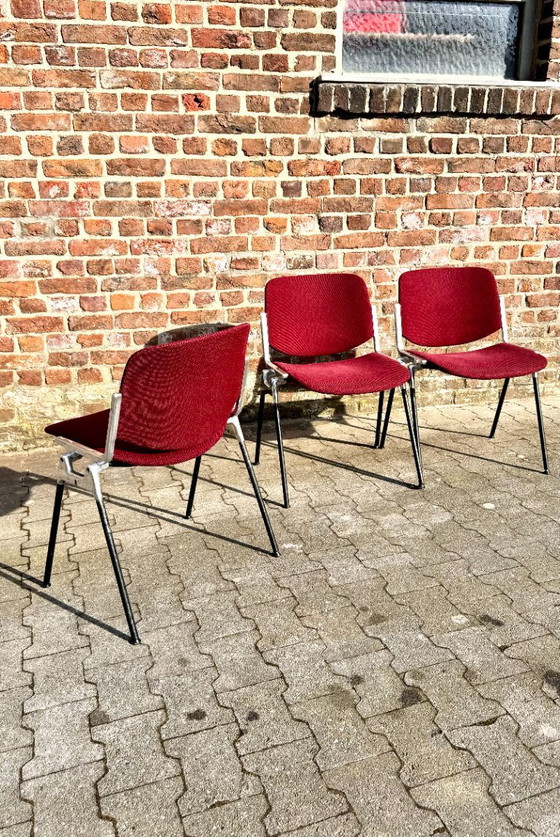 Castelli DSC 106 – Anonima Castelli, Dining chairs, Cotton (photo 4 of 7)