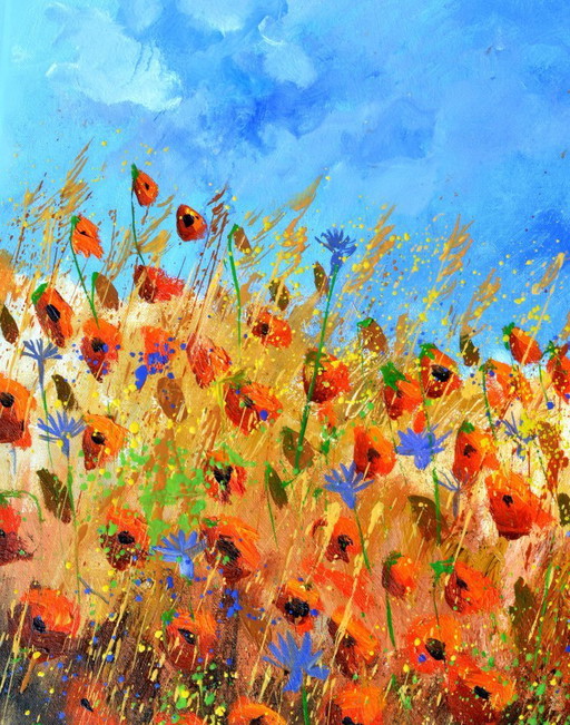 Red poppies