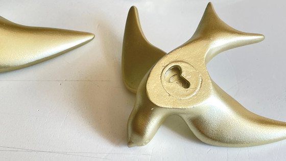 Image 1 of Hirondelles dorées