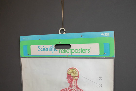 Image 1 of Reliefposters Nova Rico Florence Italy Scientific - Man