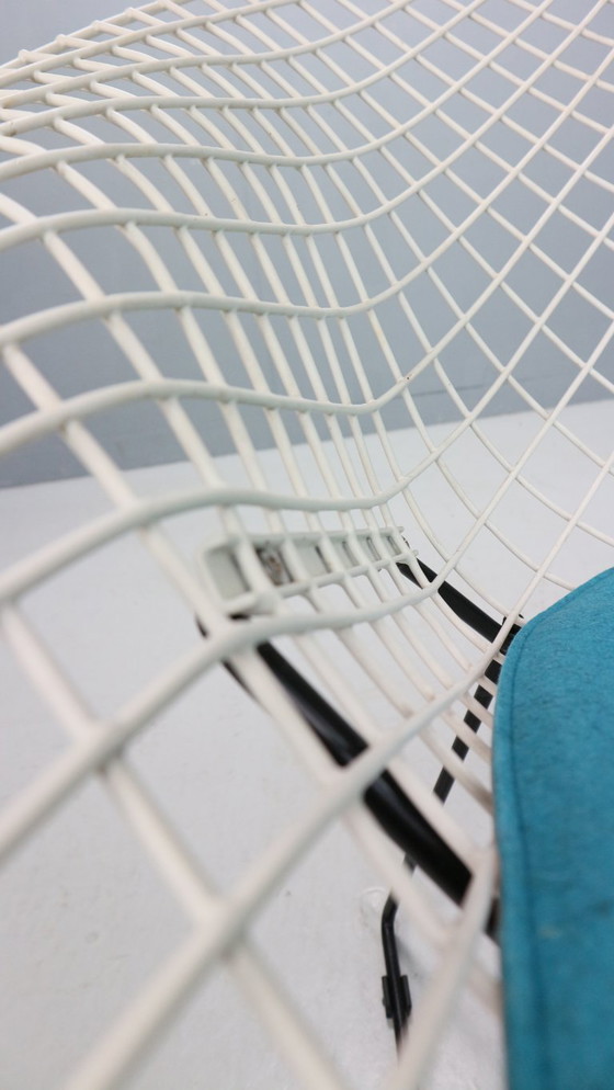 Image 1 of Silla Diamond de Harry Bertoia en metal blanco y negro y nuevo asiento azul años 60