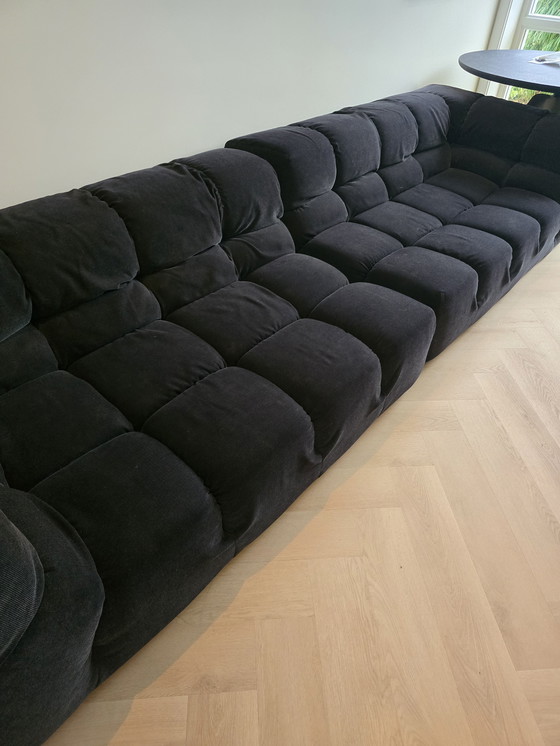 Image 1 of BB Italia Tufty time