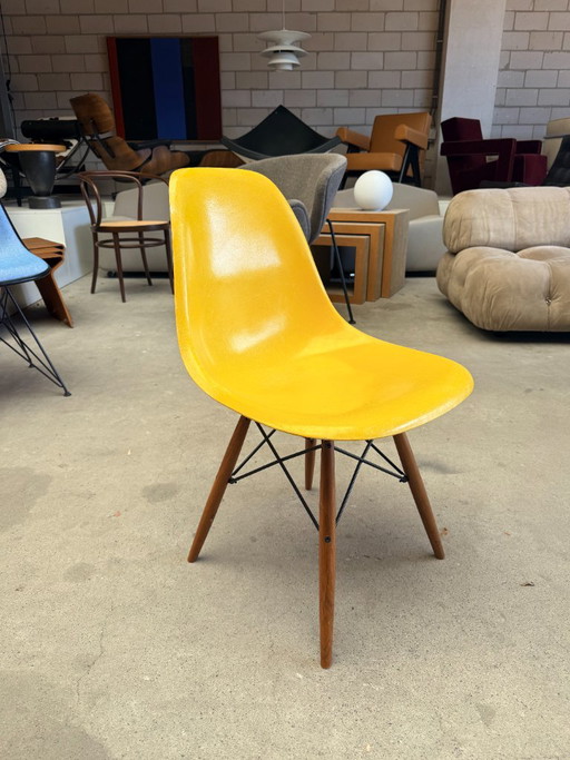 Sedia Herman Miller Eames DSW in fibra di vetro – eetkamerstoelen, Metal, Wood (photo 2 of 9)