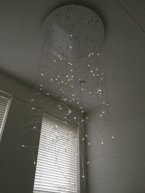 Image 1 of Lampada da sospensione Ligne Roset Brindilles