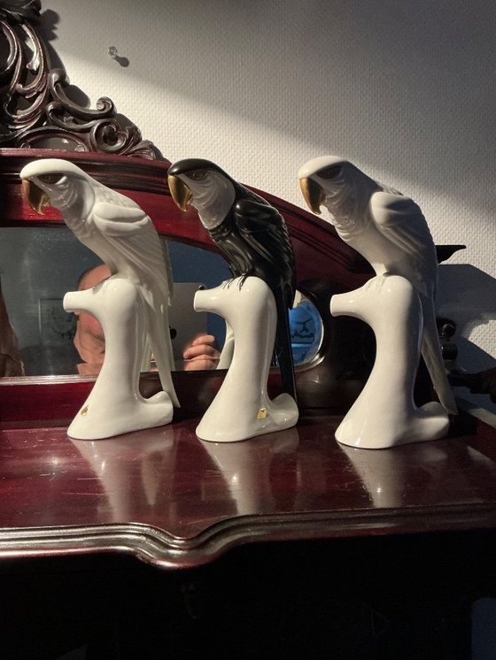 Image 1 of ROYAL- DUX 🦜 papegaai 1