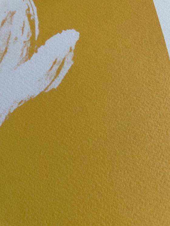 Image 1 of Pablo Picasso (1881-1973), Faune Blanc, 1946 copyright 1999 Sucesión Pablo Picasso SOFAM Belgique, Ediciones P.D'Harville....