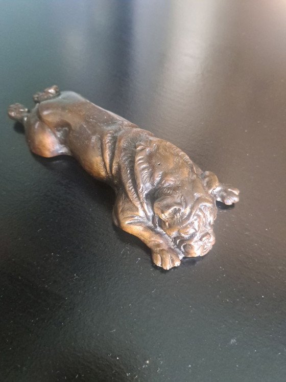 Scultura Bulldog in Bronzo – Oggetti decorativi, Metallo (photo 5 of 5)