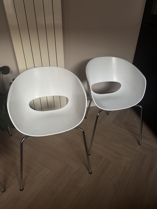 (Tub)Dining room chairs