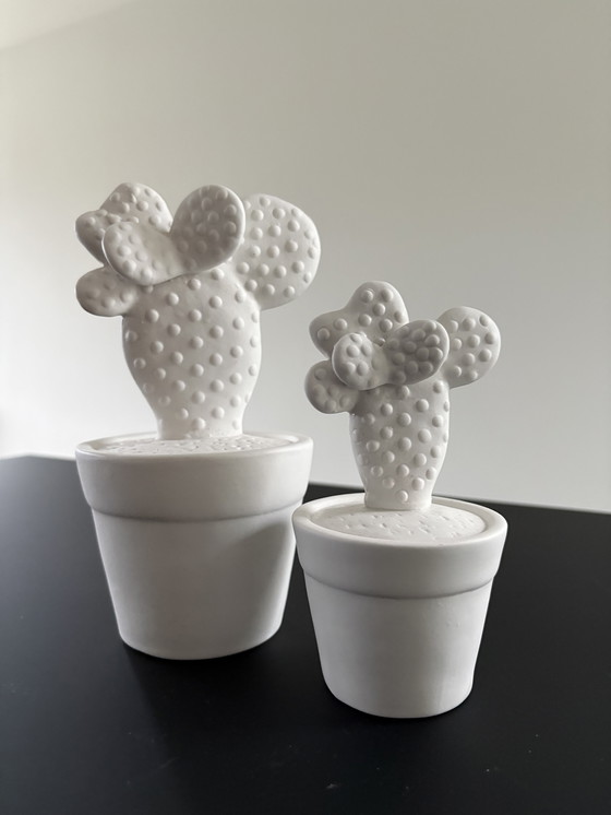 Image 1 of Set of two cacti, rough ceramic