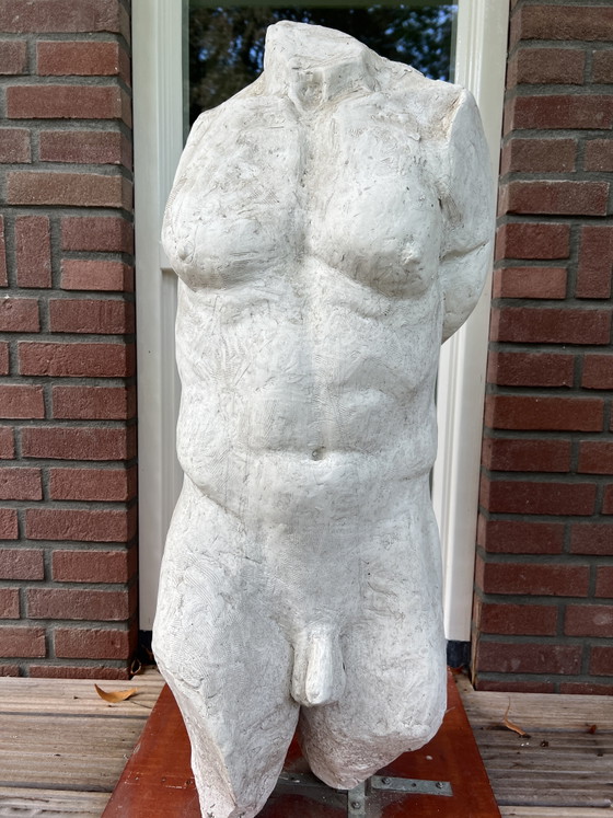 Torso Maschile Gesso Pezzo Unico – Arte, Metal, Other (photo 5 of 5)