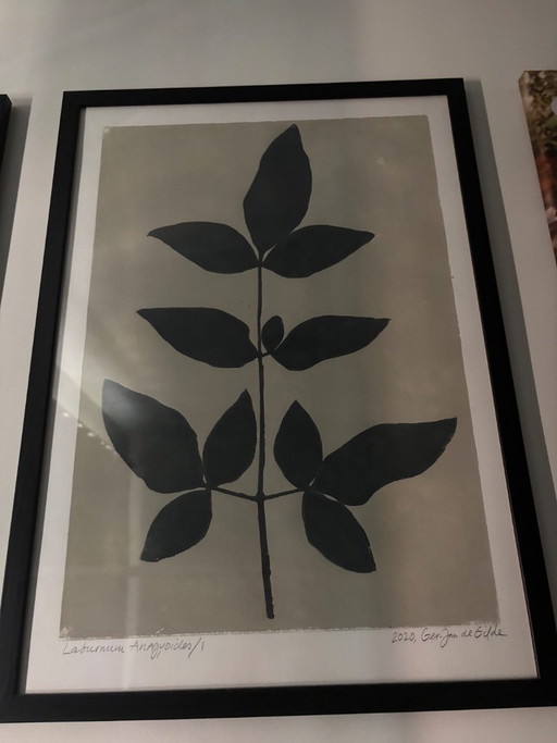 Botanical prints Ger Jan de Gilde