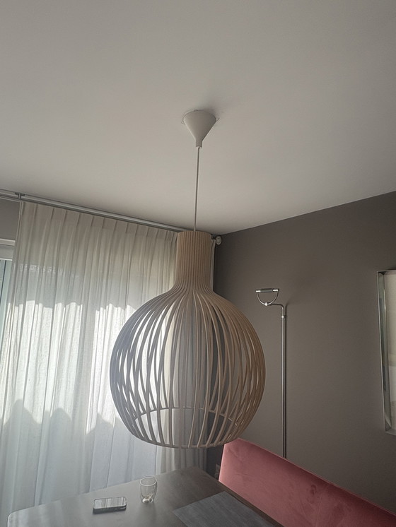 Image 1 of Beautiful secto design lamp birch