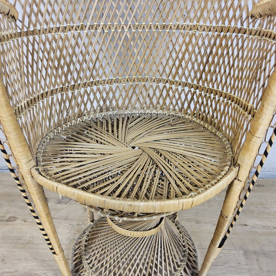 Image 1 of Vintage Rotan Peacock chair Emmanuelle / Pauwen stoel (H150cm) 