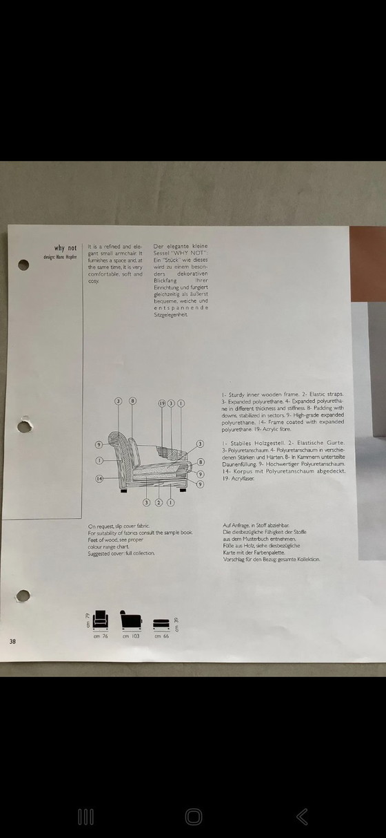 Image 1 of 2x fauteuils Molinari avec Poef Bruin