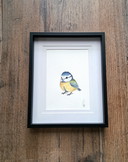 Original Watercolor Blue Tit | Includes Frame