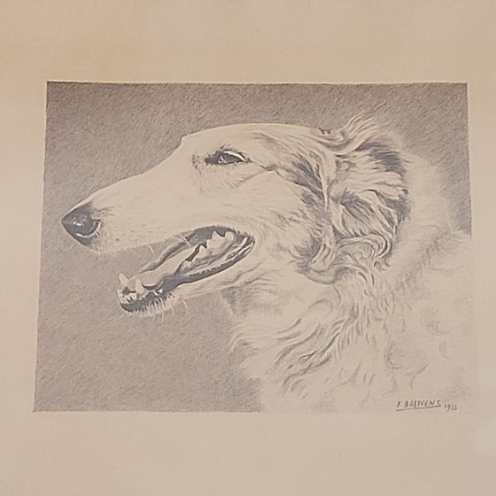 Image 1 of Dessin original au crayon d'un lévrier Borzoï Art Déco par F. Basteens, 1933