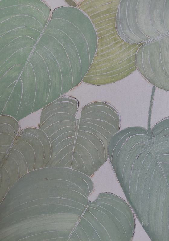 Image 1 of "Hosta Blue Angel" Gallery Suncorner