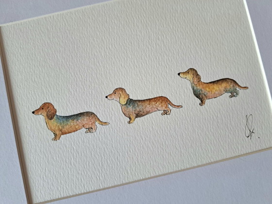 Original Aquarell Teckel | Mit Rahmen – Gemälde & Zeichnungen, Papier (photo 4 of 5)