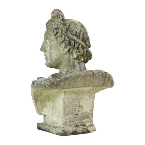 Image 1 of Large Apollo Bust Garden Statue