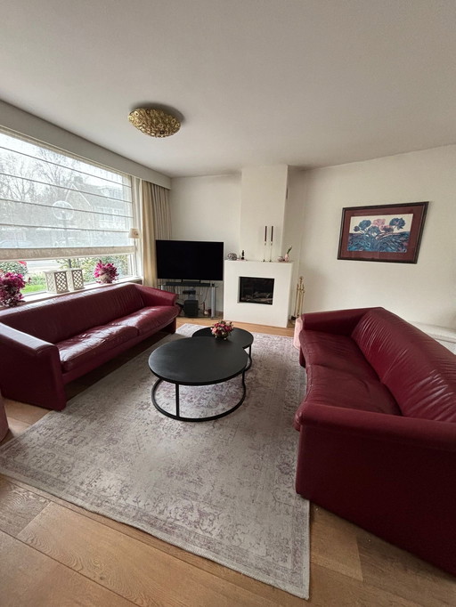 Leather 3-seater sofa Touché