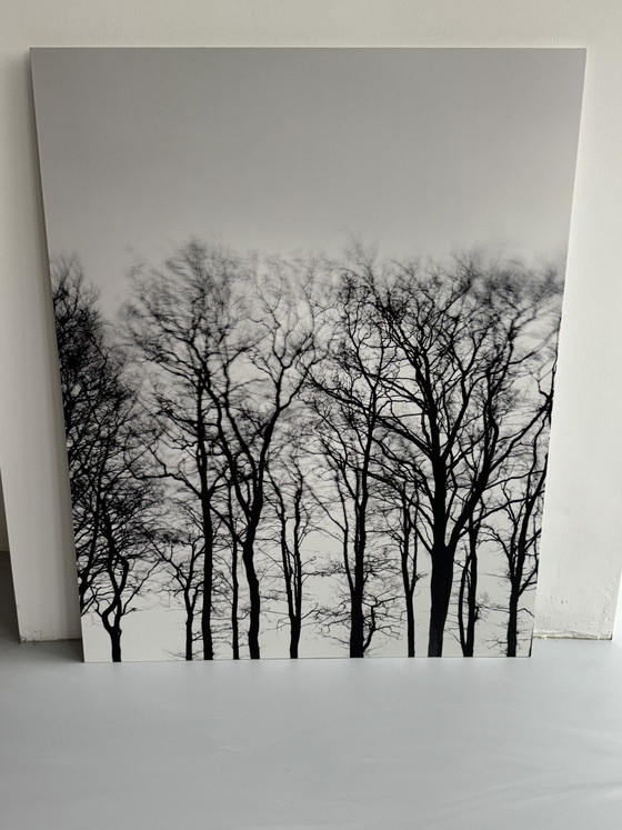 Frisia / Serie fotografica in 3 parti / 2011 / Opera personale – Fotografie, Aluminium (photo 4 of 6)