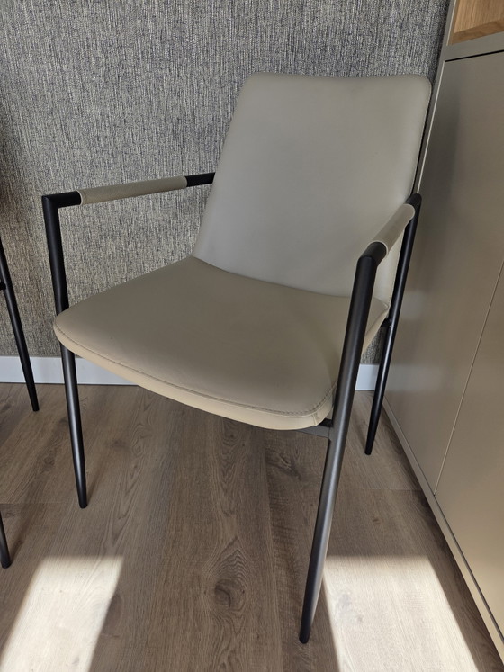 Vier Eetkamerstoelen Movani – Leather, Metal (photo 5 of 6)