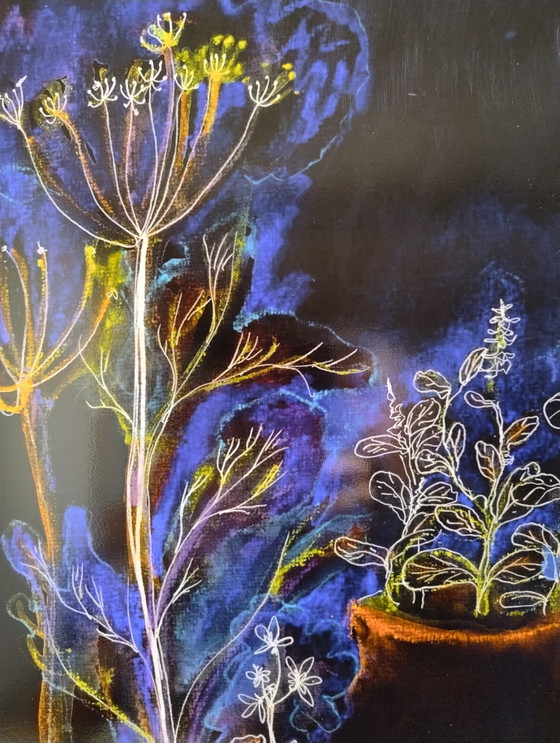 Image 1 of Jardin nocturne