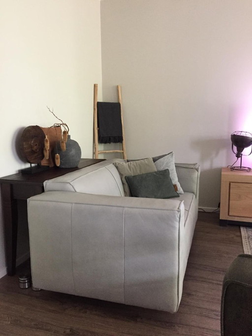 Zwei Zweisitzer-Sofas aus echtem Leder, Farbe „Voyager Africa Grey“