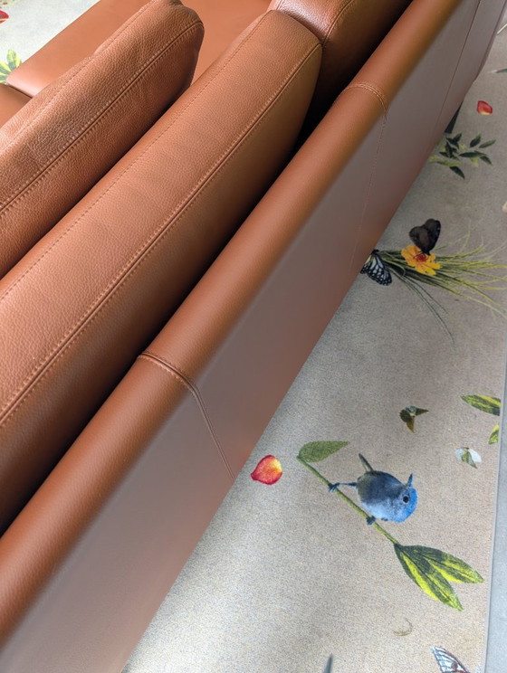 Canapé design COR Conseta – Canapés 2 places, Leather (photo 11 of 13)